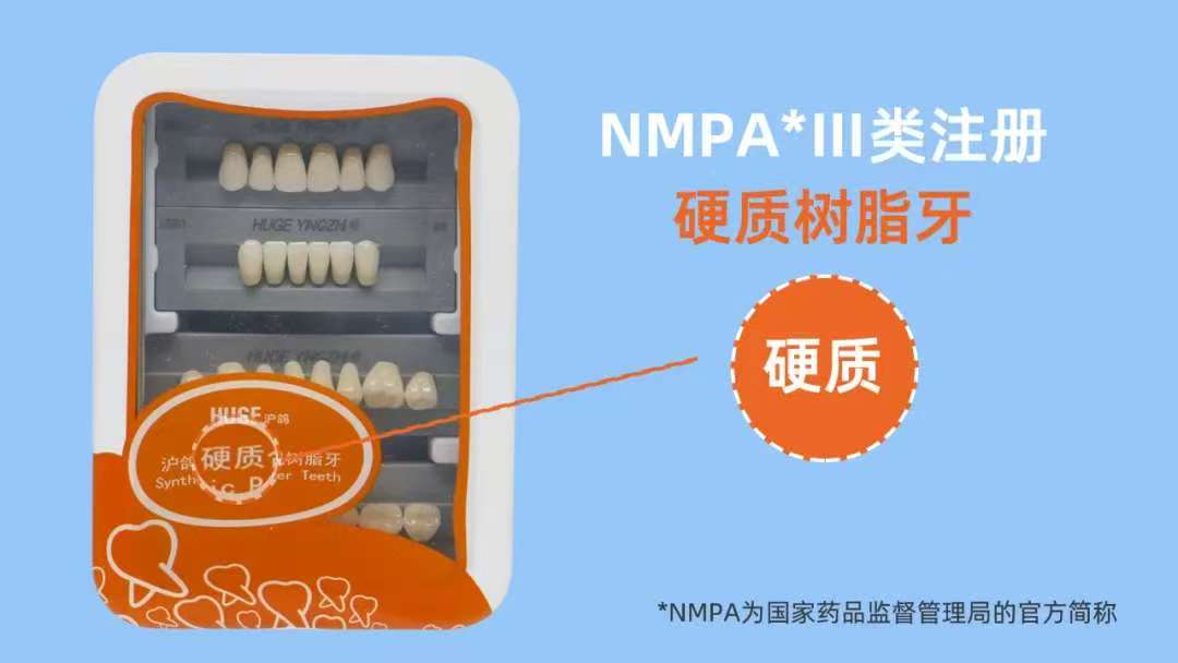 沪鸽 硬质合成树脂牙