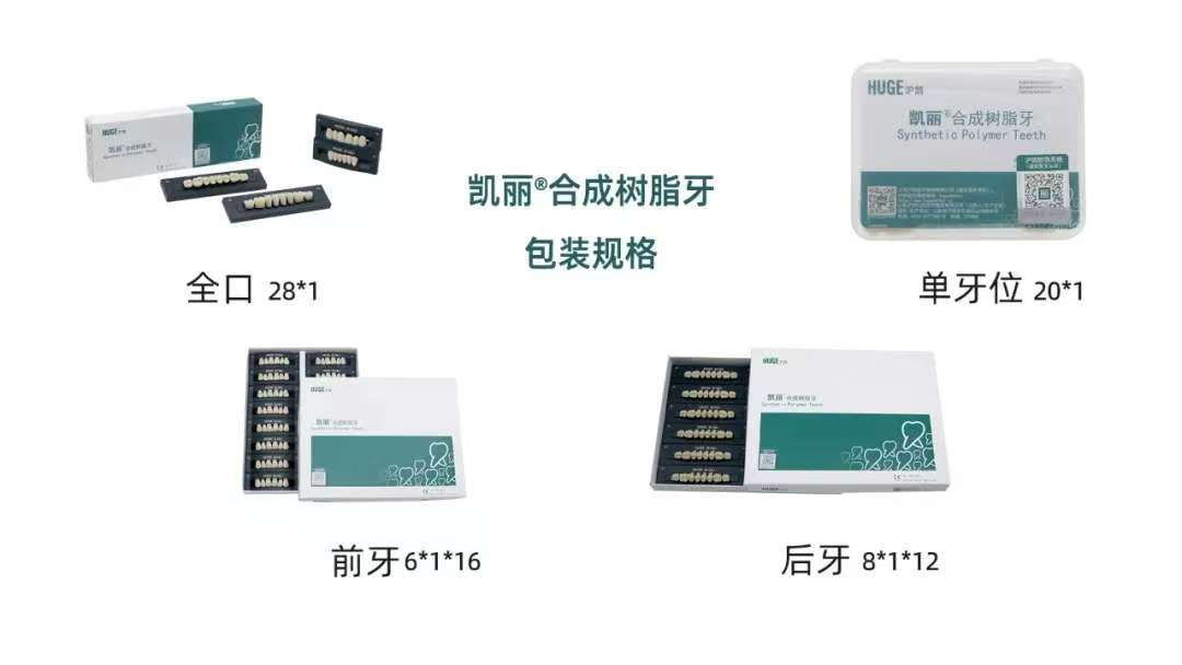 凯丽 合成树脂牙
