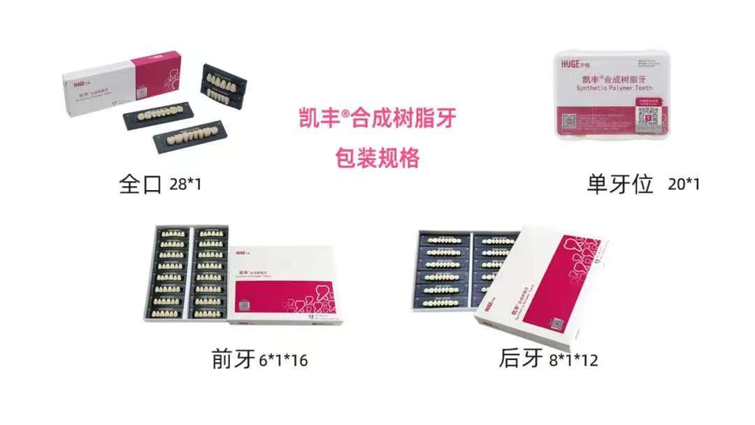 凯丰 合成树脂牙